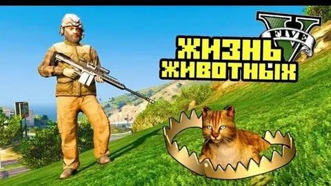 Коты в гта 5