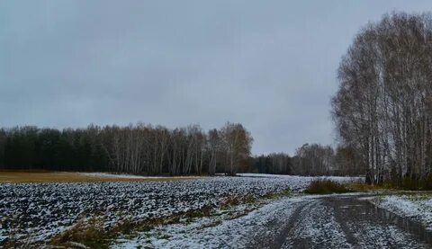 Осенью поздней земля засыпает