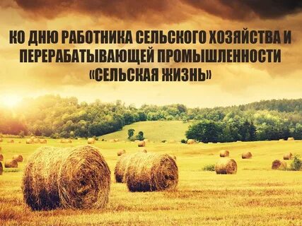 День работника сельского хозяйства фон