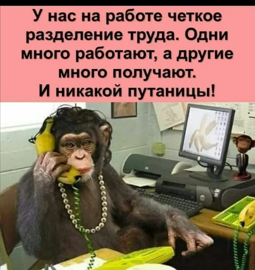 Четкую работу. Алло это центр занятости.