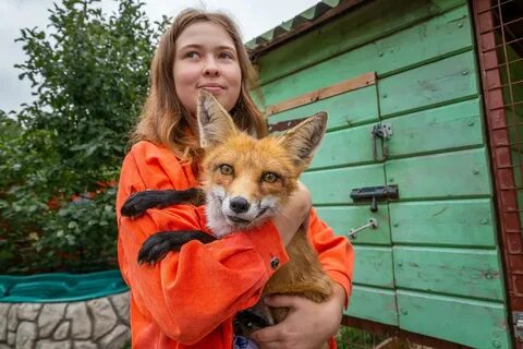 Семейное подворье поселок садовый