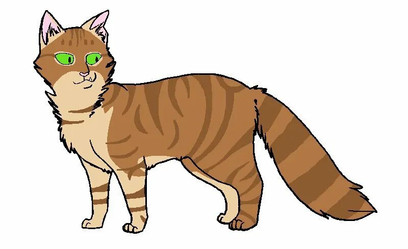 Коты воители метеор. Кривушка коты воители. метеор коты воители вики. метеор кот коты воители.
