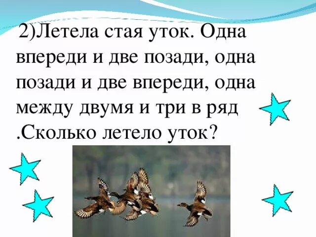 Утка летела 3. Летела стая уток одна впереди две. Загадка летела стая уток одна впереди две. Стая уток летит. Летят утки одна впереди две позади.