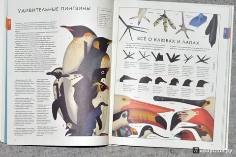 Иллюстрированный сборник