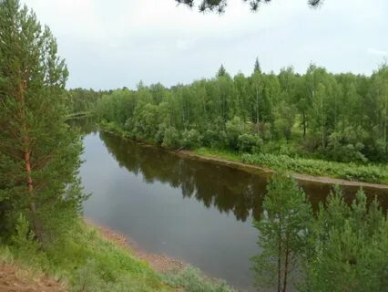 Иркутская обл чунский