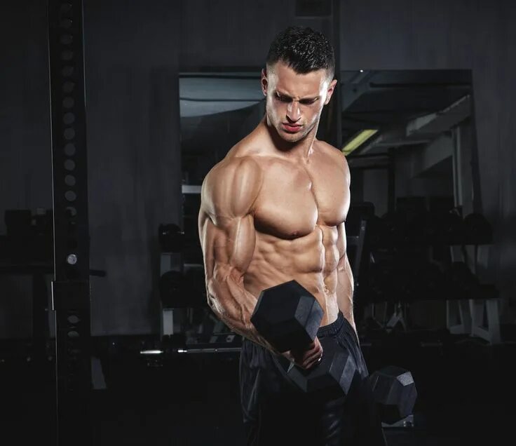 Building your body