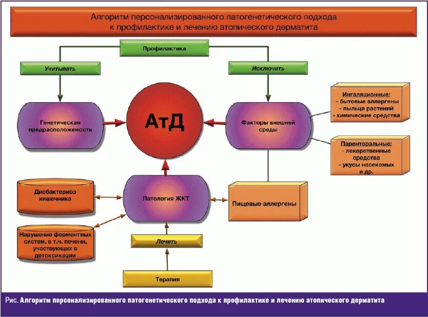 Атопический дерматит у дошкольника. Атопический дерматит (нейродермит диффузный). Атопический дерматит у детей клинические рекомендации. Атопический дерматит у детей атд лечение. Атопический дерматит у ребенка 9 мес.