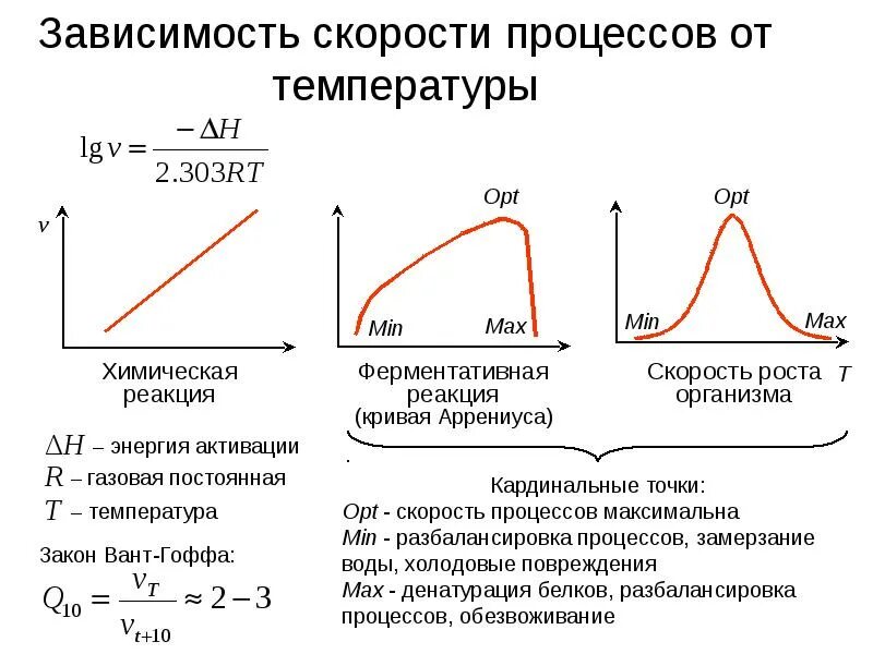 Процесс в зависимости от. Зависимость направленности процесса от температуры. зависимость вероятной скорости от температуры. зависимость скорости реакции от температуры таблица. зависимость биологических процессов от температуры.