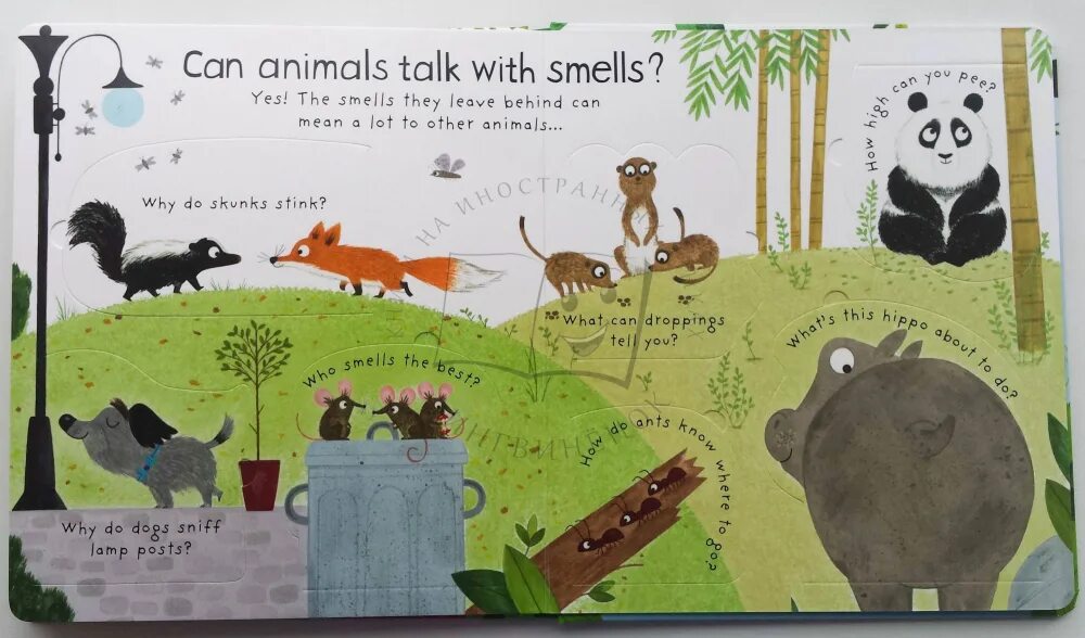 Talk to the animals. Animal talk. daynes katie &quot;about animals&quot;. how do animals. questions and answers about animals usborne.