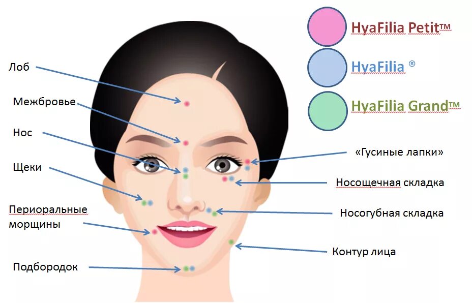 Какая часть лица