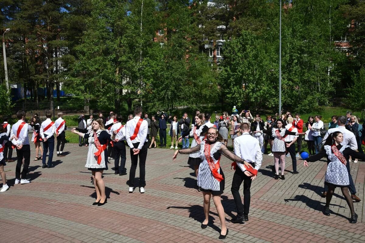 Сосновый бор школы отзывы. Школа 2 сосновый бор. Школа 8 сосновый бор ленинградская область. Сосновый бор город школа 2. Школа 6 сосновый бор.