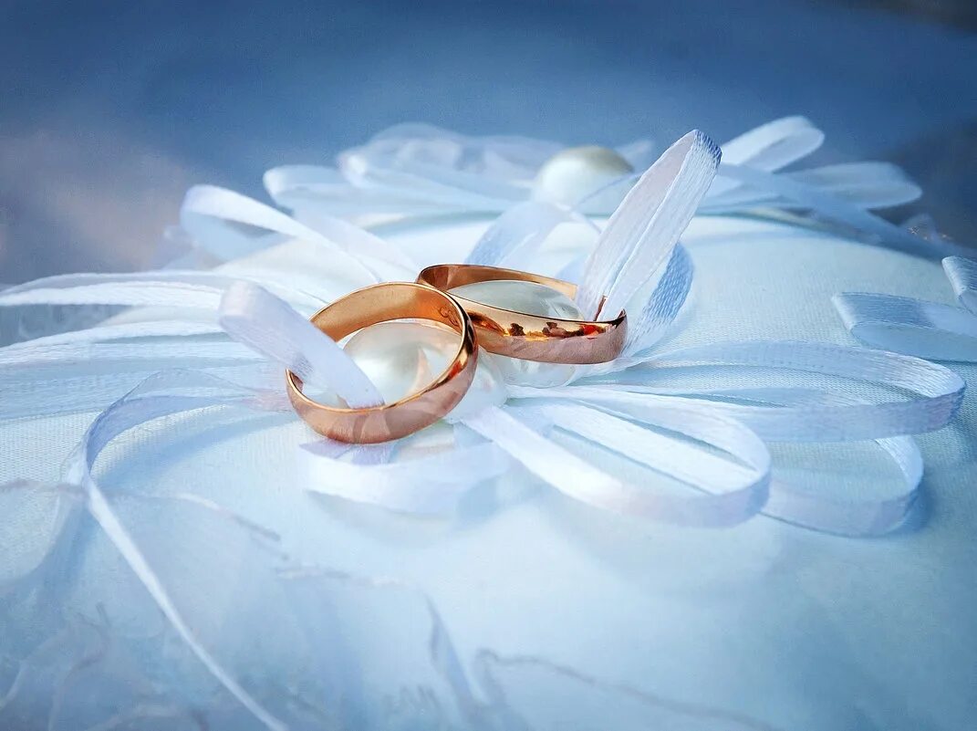 Годовщина загса. Кольца на свадьбу. Обручальное кольцо. Красивые Свадебные кольца. Свадебная тематика.