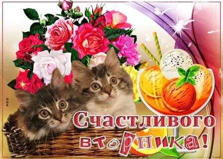 Картинка вторник анимация