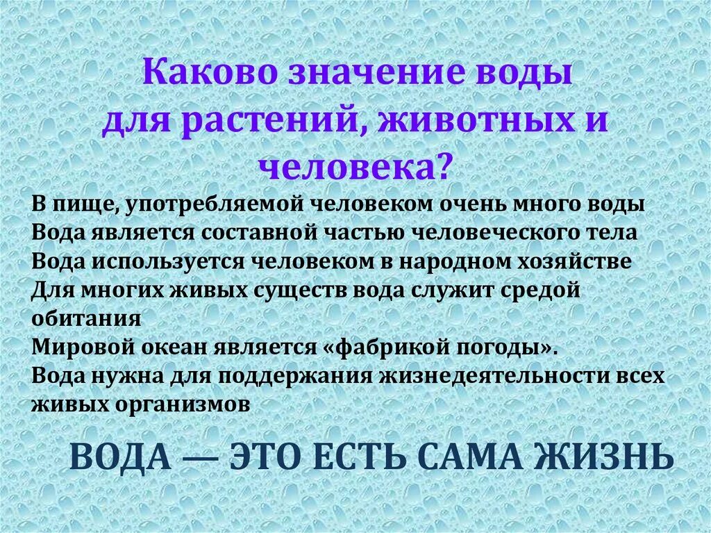 Каково значение агросообществ. Какое значение вода имеет для растений животных человека. роль в жизни человека растений и животных воды. вода в жизни растений и животных. значение воды.