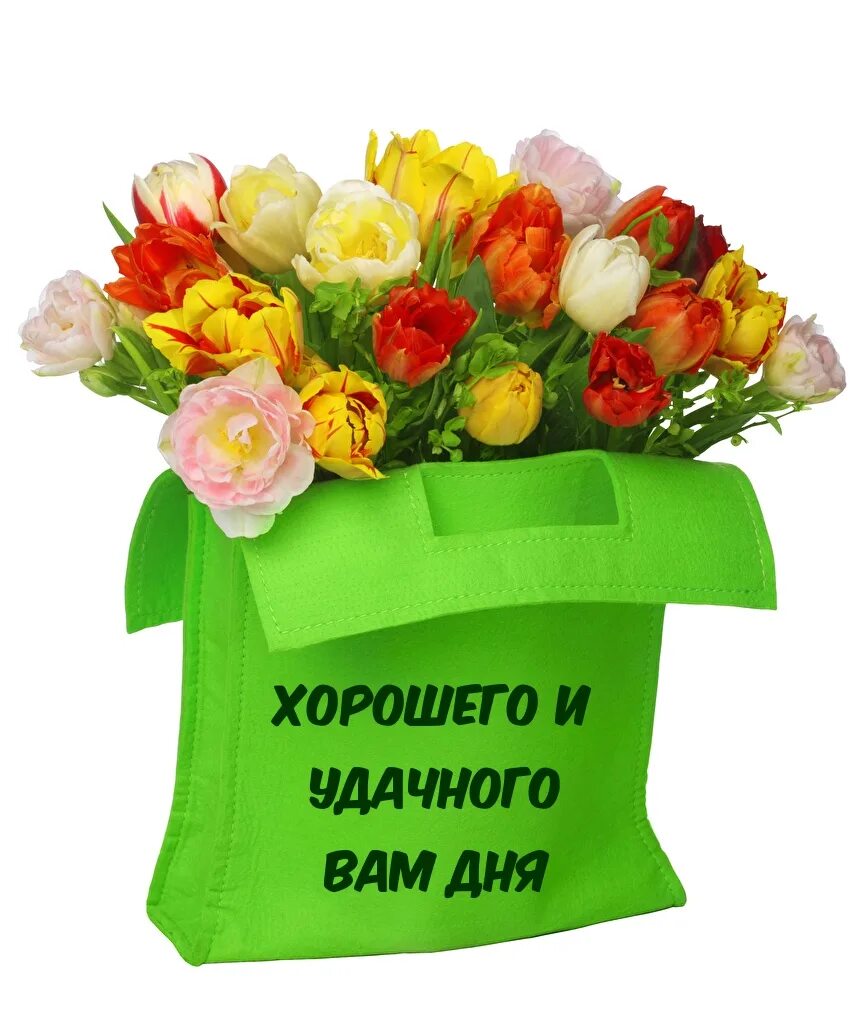 Легкого и быстрого дня. Легкого и быстрого дня