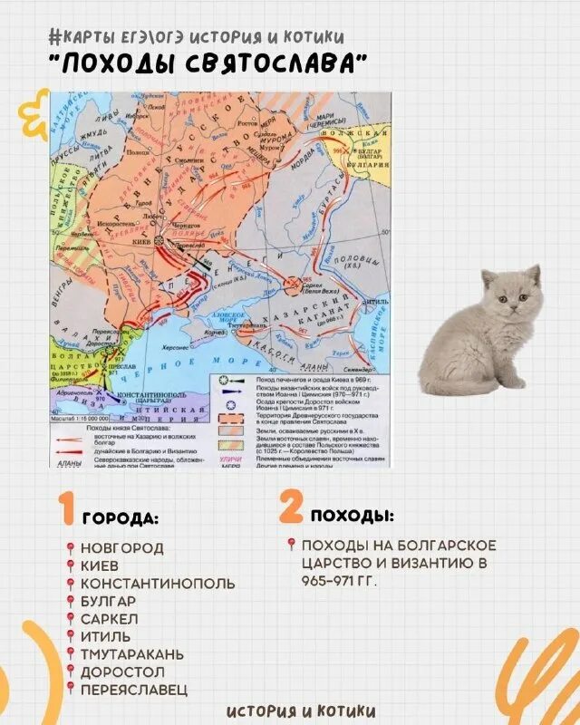 история котиков егэ