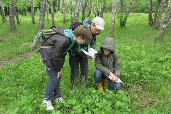 Экологическое образование направлено на. Экологическое образование и воспитание. Экологическое образование дошкольников. Эколог это для детей. Экологический кружок.