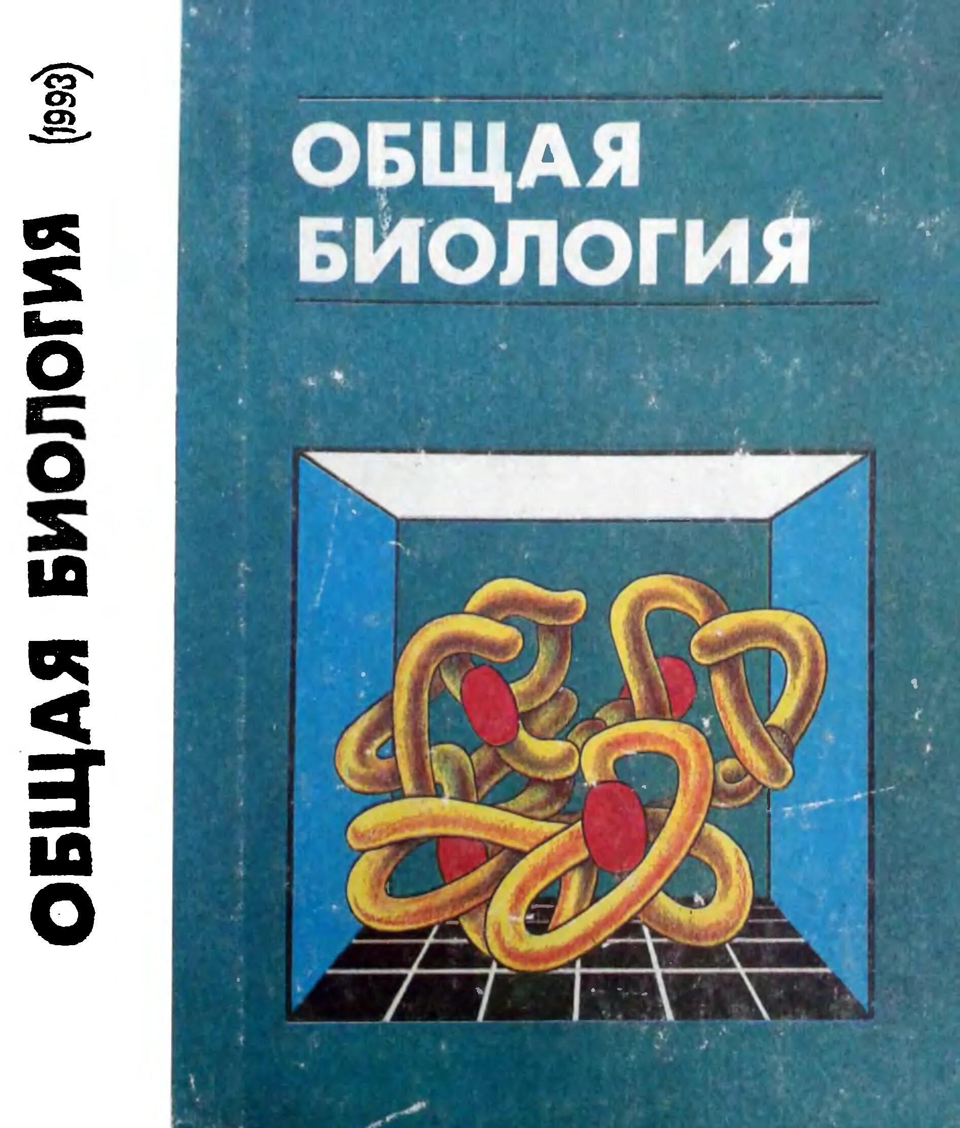 Общая биология 10-11 Рувинский. Общая биология Рувинский с углубленным изучением. Общая биология Рувинский 1993. Общая биология 10-11 класс (а.о. Рувинский) - 1993 год.