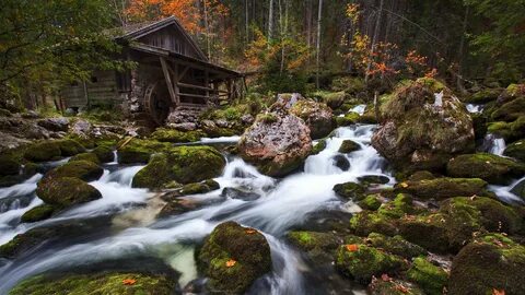 L nature