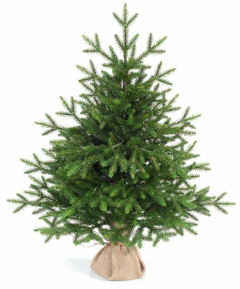 царь елка ель абсолют премиум 1. царь елка ель балтийская 2. 44. искусственные ели царь елка. царь елка ель гринвуд 1.