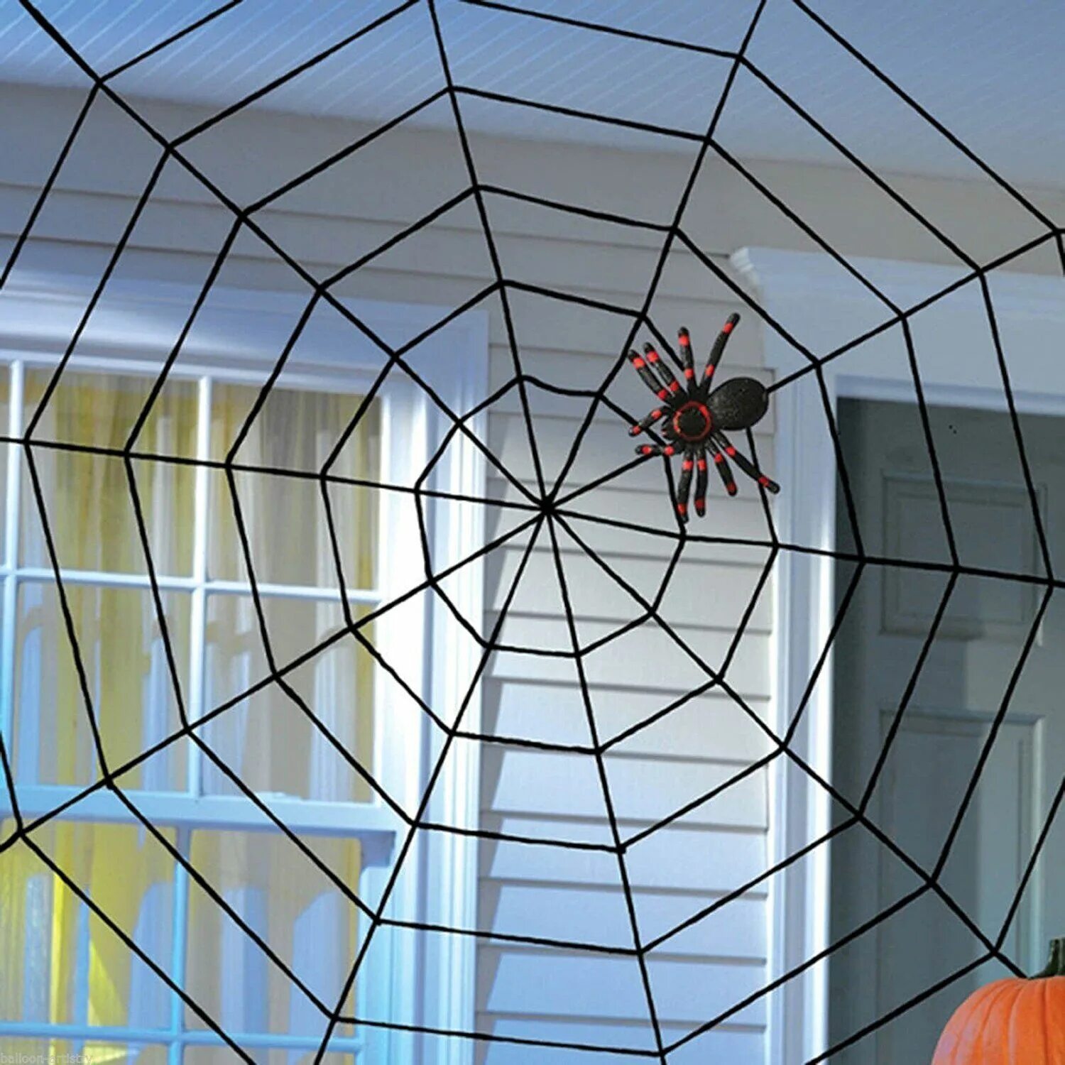 Паутина с пауками декор. Комнатные пауки. Паук на паутине. Паутина для Хэллоуина.