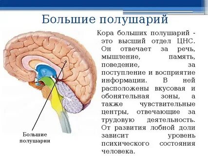Высочайший отдел