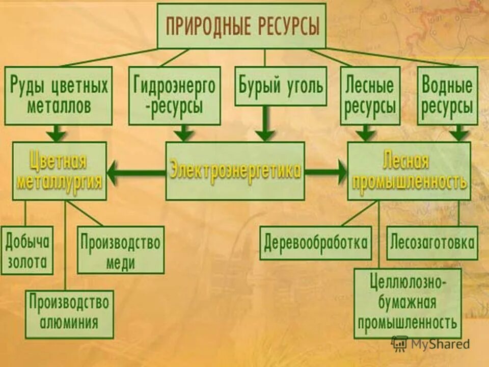 Экономика география 8 класс