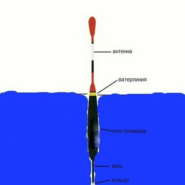 Поплавок погруженный в воду. Правильная огрузка поплавка подпасок. Скользящий поплавок и скользящее грузило. Правильно отгрузить скользящий поплавок. Поплавок скользящий 2гр.