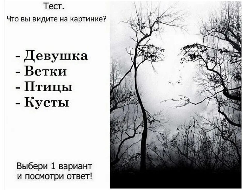 Тест насколько вам тяжело. Психологический тест рисунок. Психологические тесты в картинках. Психологические картины тест. Рисунки тесты по психологии.