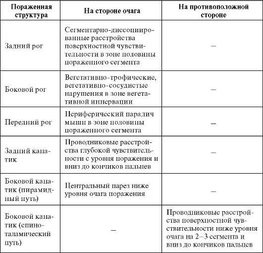 Спинной мозг сегменты таблица. Спинной мозг строение и функции таблица. функции сегментов спинного мозга таблица. спинной мозг таблица отдел строение функции. отделы и сегменты спинного мозга таблица.