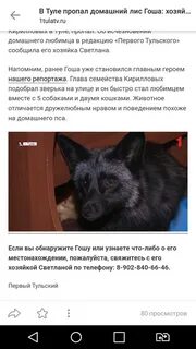 Пропало домашнее животное
