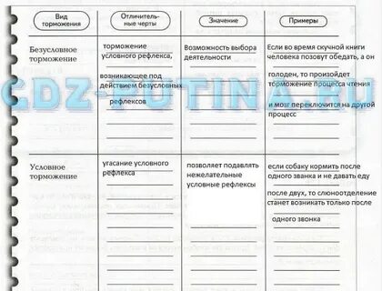 Заполнить таблицу формы поведения