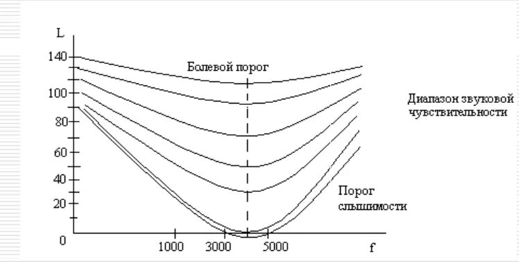 Слуховые пороги. Дифференциальный порог слуха. Пороги чувствительности слуха. Абсолютный порог слуховой чувствительности. Селективная звуковая чувствительность.