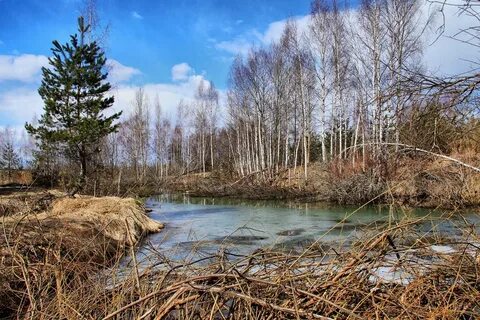 Апрель в александрове