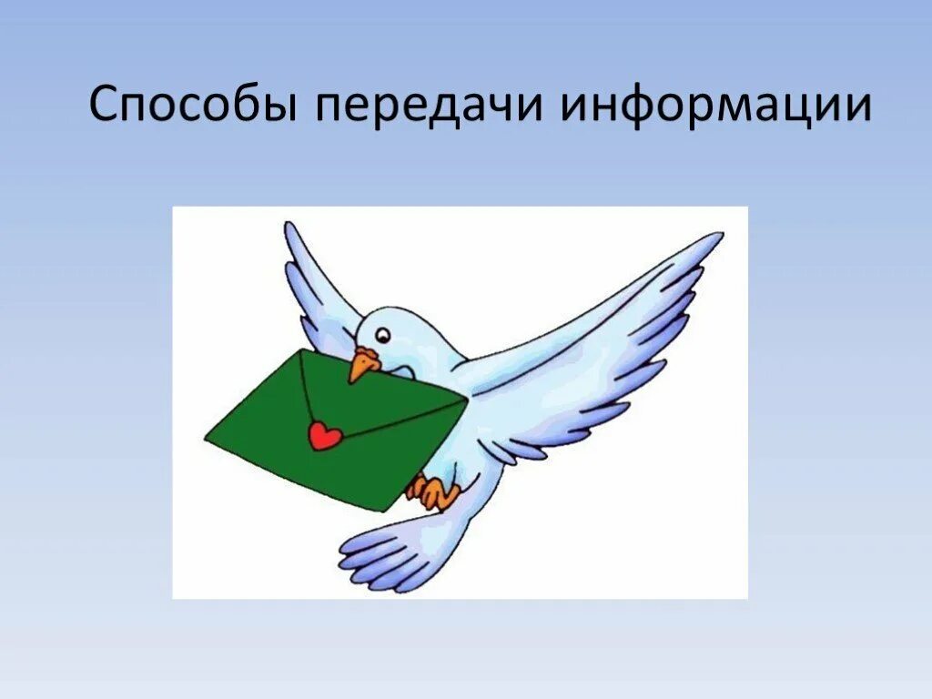 Нарисовать информацию