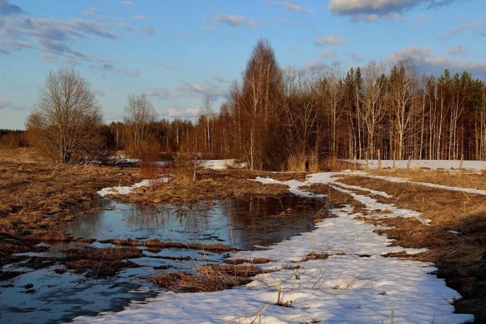 1 апреля в деревне. Весенний пейзаж. Апрель природа.