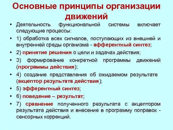 Принцип организации движения. Основные принципы организации движения. Общие принципы организации движений. Основные принципы организации движений физиология.