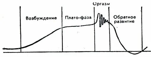 Содержание возбуждение