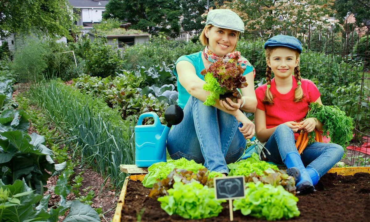 Пенсионеры на даче. Огород. Садоводство и огородничество. Дачник с урожаем. Дачные радости с мариной рыкалиной 2023.