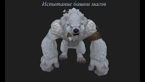 Мага медведь