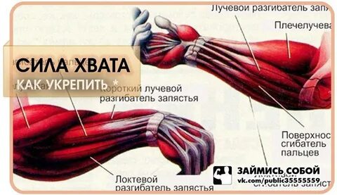 Как увеличить кисть