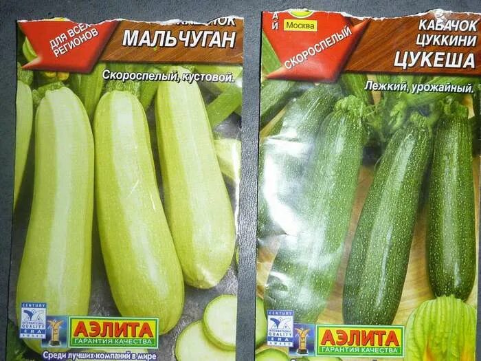 Кабачок Цукеша: описание и характеристики сорта, посадка и уход, отзывы с фото
