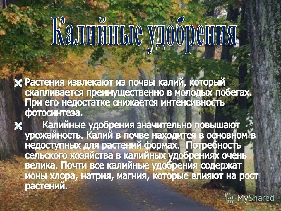 из почвы растения извлекают