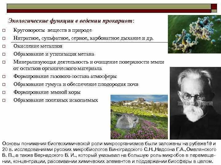 Кто является создателем науки биогеохимии