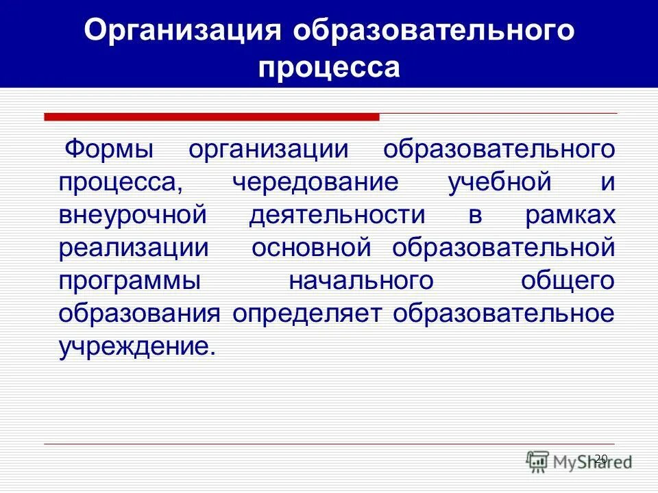 Основные формы образовательных организаций