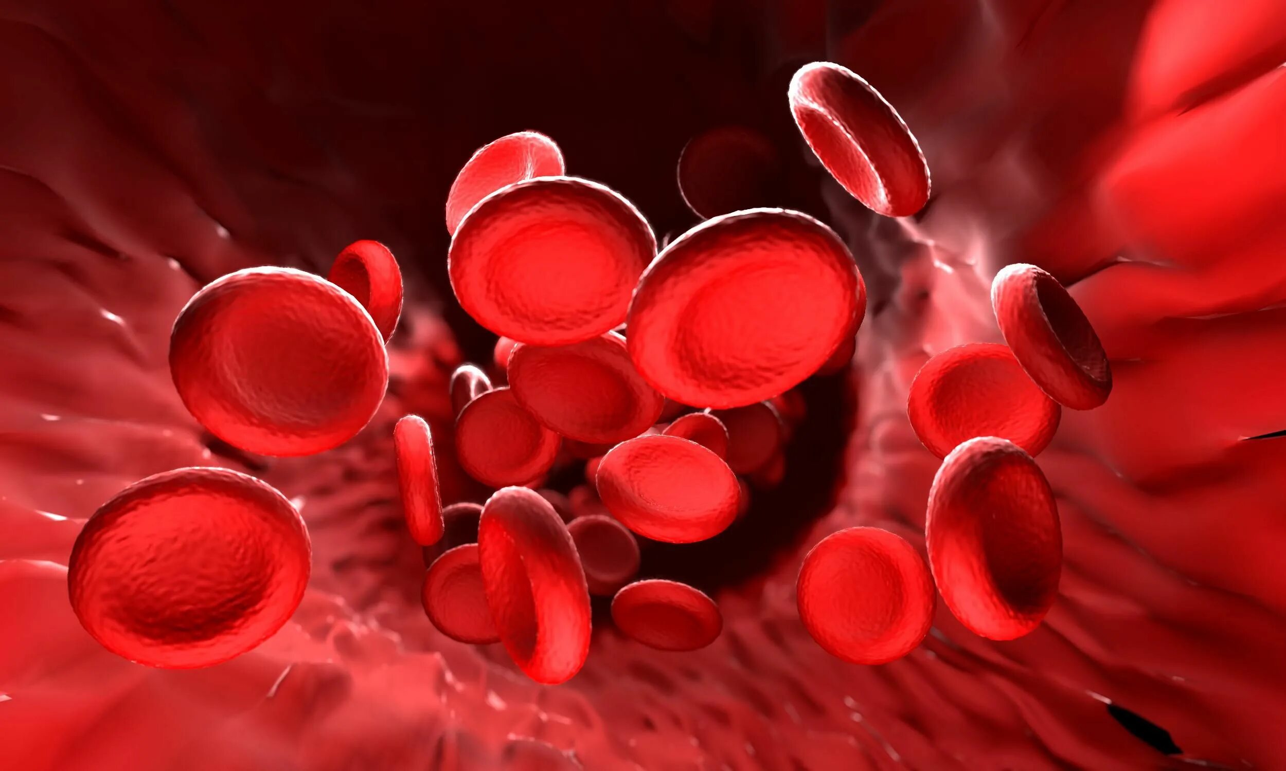 Эритроциты гемоглобин железо. Молекула крови. Эритроциты в сосуде. Кровь и железо.