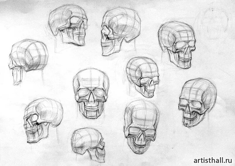 череп академический рисунок анфас. анатомические зарисовки черепа. конструктивное построение черепа академический. череп академический рисунок. баммес череп схемы.