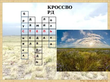 Кроссворд степь