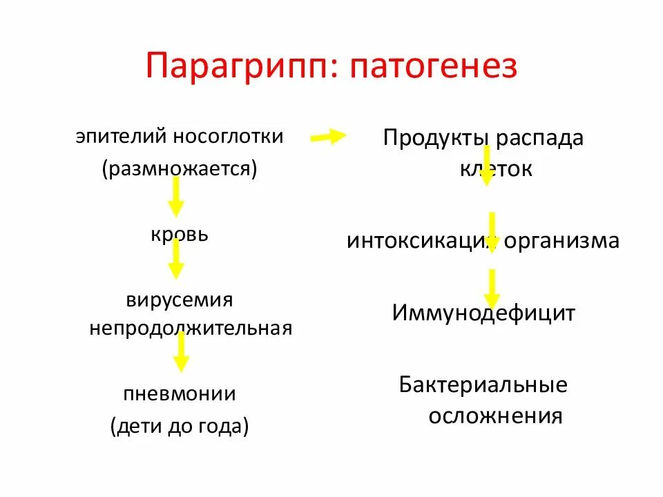 Клинические симптомы парагриппа. Парагрипп симптомы. Парагрипп механизм передачи. Парагрипп классификация. Грипп и парагрипп