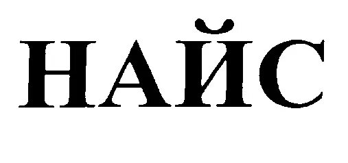 Найс ютубер. Найс. Найс картинка. Рисунки Найса. Торговая марка найс.